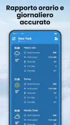 Local Weather 3