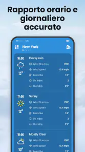 Local Weather screenshot