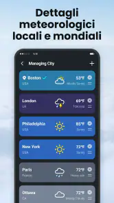 Local Weather screenshot