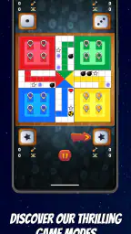 Ludo Tunisia 8