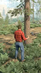Lumberjack Driver 1