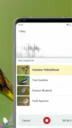 Merlin Bird ID by Cornell Lab 3