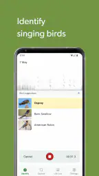 Merlin Bird ID by Cornell Lab 4