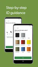 Merlin Bird ID by Cornell Lab 5