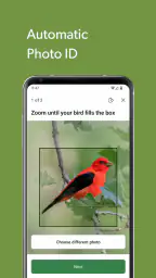 Merlin Bird ID by Cornell Lab 6