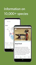 Merlin Bird ID by Cornell Lab 8