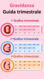 Mia gravidanza per settimana 3