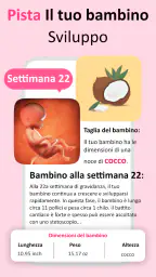 Mia gravidanza per settimana 4