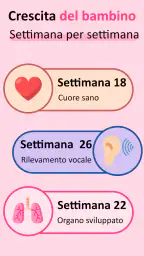 Mia gravidanza per settimana 6