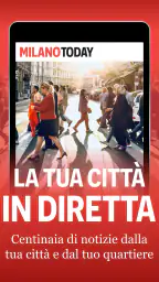 MilanoToday 6