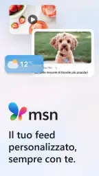 MSN 1