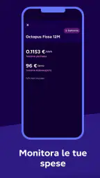 Octopus Energy 3