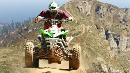 Offroad ATV Arizona Quad Bike 5