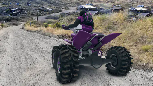 Offroad ATV Arizona Quad Bike 7