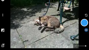 Open Camera screenshot