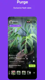 Palmstreet: Buy & Sell LIVE 4