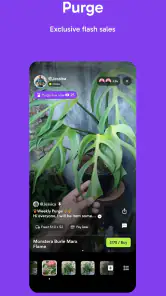 Palmstreet: Buy & Sell LIVE screenshot