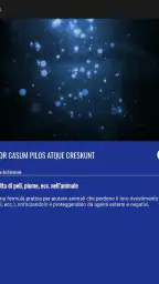 Parole Magiche 5