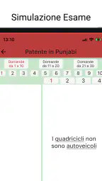 Patente in Punjabi Hindi Urdu 8