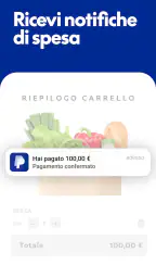 PayPal 3