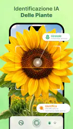 Piante AI: Scan e Cura 1