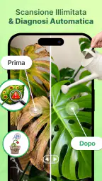 Piante AI: Scan e Cura 2