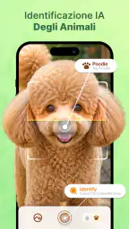 Piante AI: Scan e Cura 6