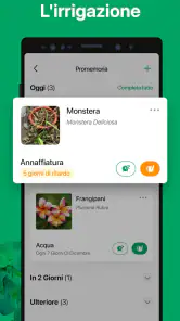 PictureThis Identificar Planta screenshot