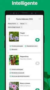 PictureThis Identificar Planta screenshot