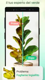 Plant Parent - Guida alla Cura 2