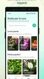 Plant Parent - Guida alla Cura 6
