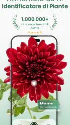 Plantify: Riconoscere Piante 1