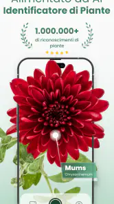 Plantify: Riconoscere Piante screenshot