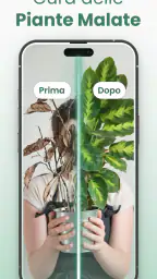 Plantify: Riconoscere Piante 5