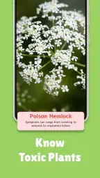 PlantMe - Plant identification 4