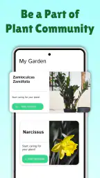 PlantMe - Plant identification 5