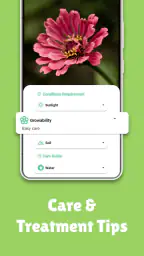 PlantMe - Plant identification 7