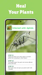 PlantMe - Plant identification 8