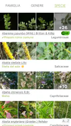 PlantNet Plant Identification 3