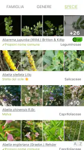 PlantNet Plant Identification screenshot
