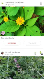 PlantNet Plant Identification 4