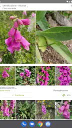 PlantNet Plant Identification 6