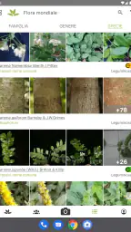 PlantNet Plant Identification 7