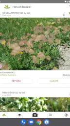 PlantNet Plant Identification 8