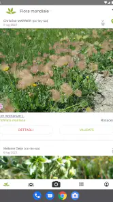 PlantNet Plant Identification screenshot