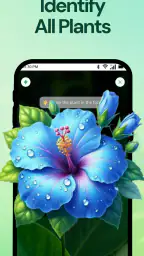 PlantScan - ID Piante AI 4