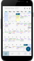 Pocket Informant 1