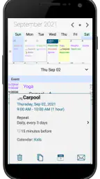 Pocket Informant 2