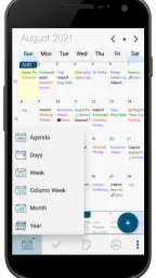 Pocket Informant 3