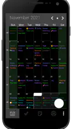 Pocket Informant 4